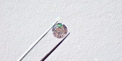 photo-1631013636761-c533d81e96a4